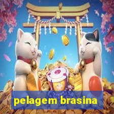 pelagem brasina